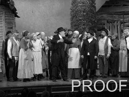 fiddler 004