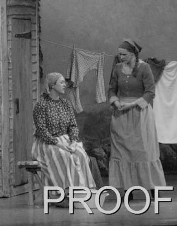 fiddler 006