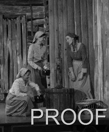 fiddler 007