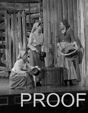 fiddler 009