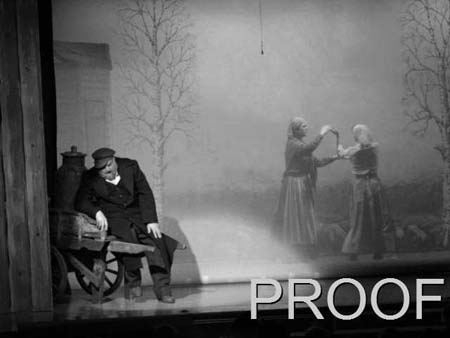 fiddler 016