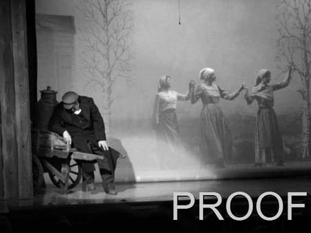 fiddler 020