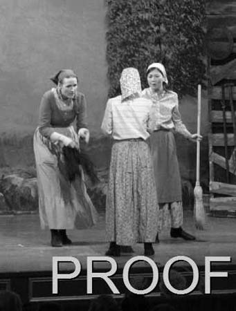 fiddler 022