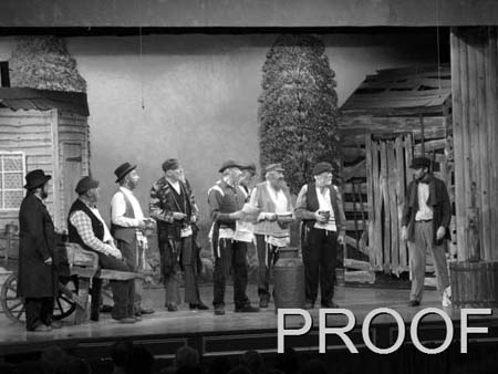 fiddler 028