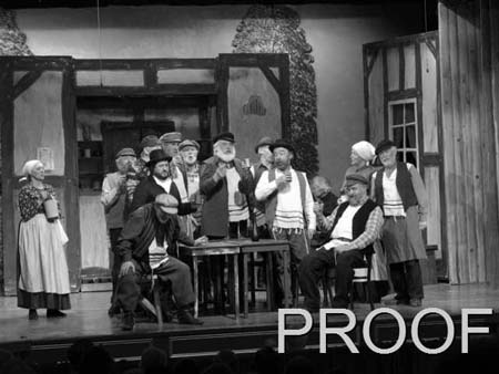 fiddler 035