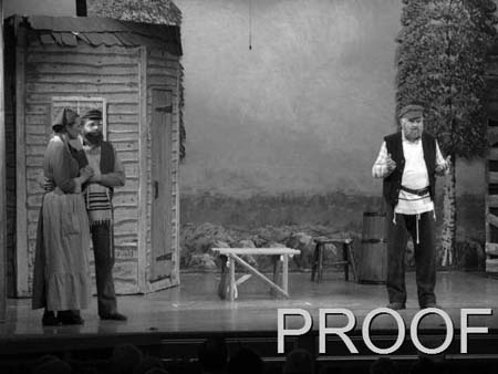 fiddler 038