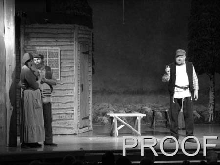 fiddler 039