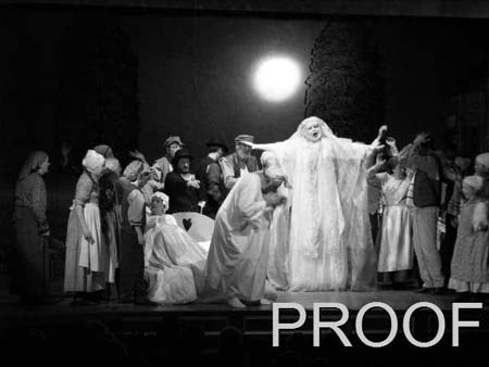 fiddler 046