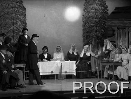 fiddler 049